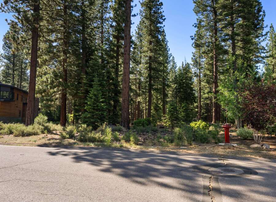 Nestled amidst a serene pine forest, this property offers a tranquil retreat with a modern architectural home.