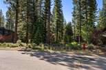 Nestled amidst a serene pine forest, this property offers a tranquil retreat with a modern architectural home.