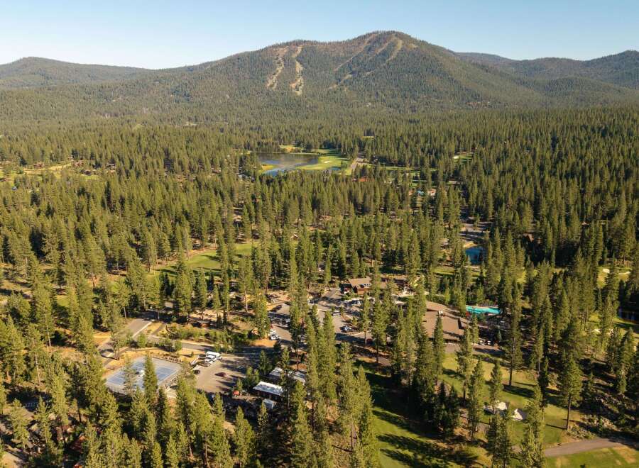 Discover this stunning mountain retreat nestled amidst a dense pine forest, offering a serene escape.