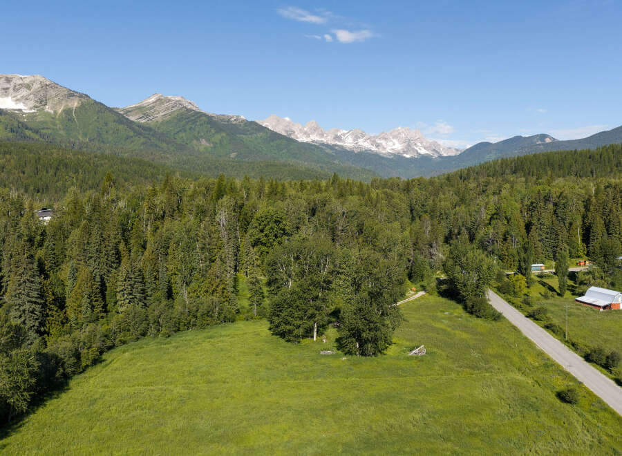 Discover this stunning property nestled amidst a lush forest with breathtaking mountain views.