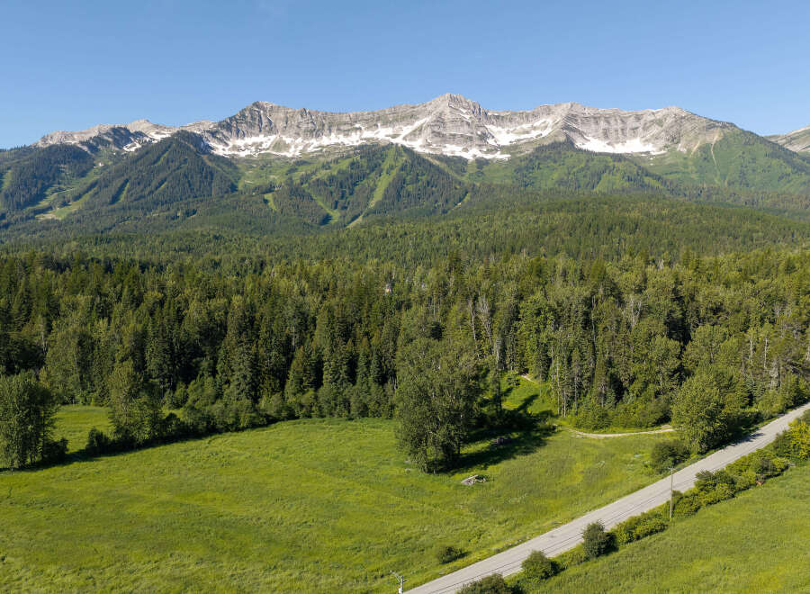 Experience breathtaking mountain views from this stunning property, nestled amidst lush green forests and rolling meadows.