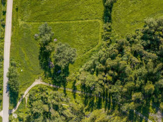 Discover this stunning aerial view showcasing a serene landscape with a paved road winding through lush green fields and dense woodland.