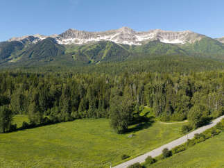 For Sale for sale in Fernie