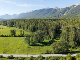 For Sale for sale in Fernie