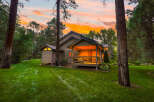 Nestled amidst a serene forest setting, this charming home offers a perfect retreat.