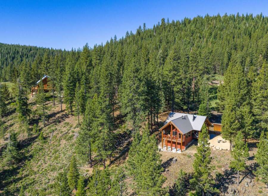 Nestled amidst a dense forest of towering pine trees, this charming log cabin offers a serene mountain retreat.