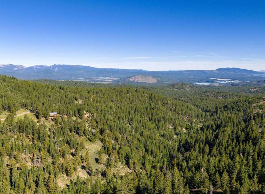 Discover your private mountain retreat nestled amidst a vast expanse of evergreen forest.