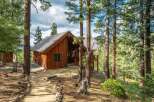 Nestled amidst towering pine trees, this charming wooden cabin offers a serene mountain retreat.