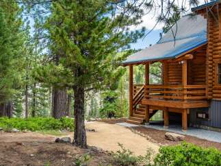 Escape to this stunning log cabin nestled amidst a serene pine forest.