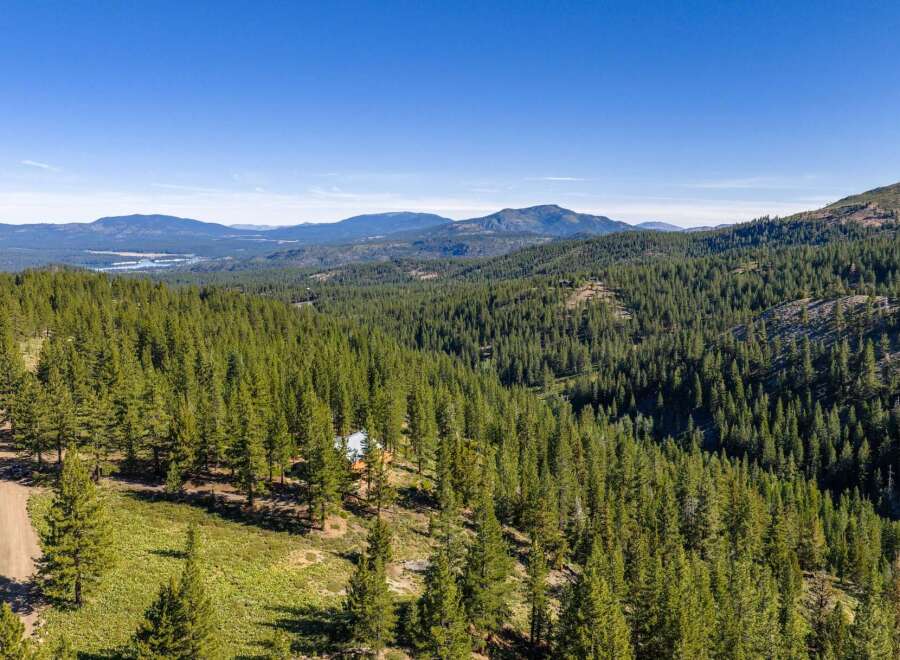 Discover your private mountain retreat nestled amidst a dense forest of mature pine trees.