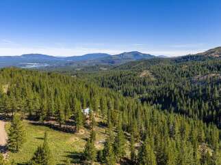 Discover your private mountain retreat nestled amidst a dense forest of mature pine trees.