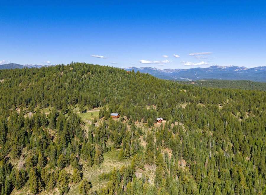 Discover serene mountain living with these charming cabins nestled amidst a dense evergreen forest.