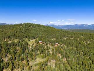Discover serene mountain living with these charming cabins nestled amidst a dense evergreen forest.