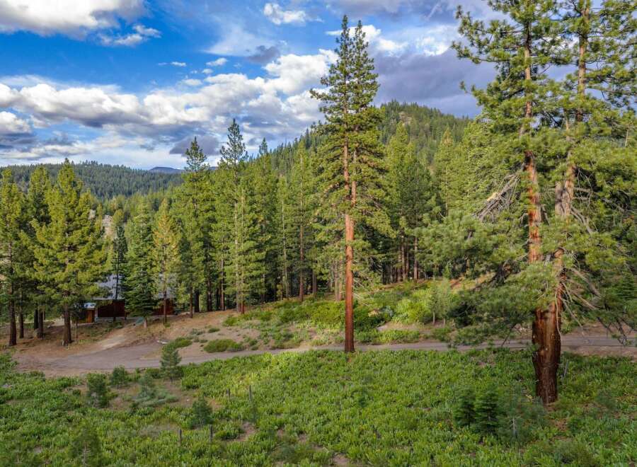 Nestled amidst a lush pine forest, this property offers a serene retreat with stunning natural beauty.
