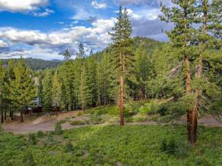 Nestled amidst a lush pine forest, this property offers a serene retreat with stunning natural beauty.