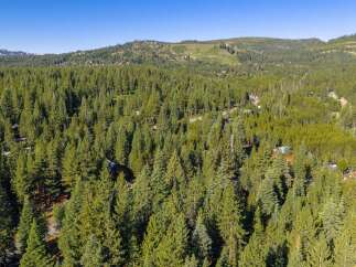 Nestled within a dense forest, this property offers a serene mountain retreat.