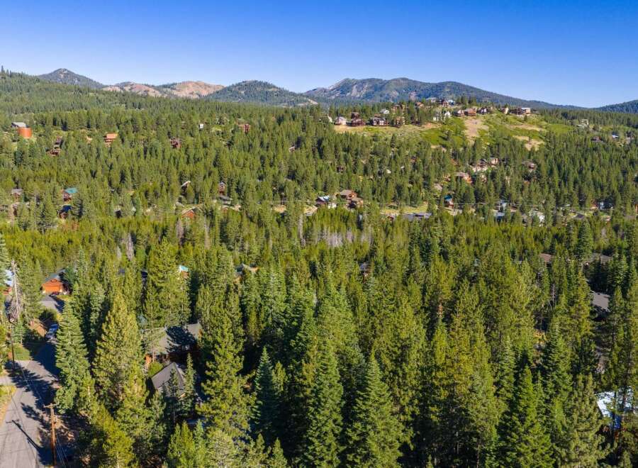 Nestled amidst a dense forest of evergreen trees, this property offers a secluded mountain retreat.