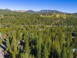 Nestled amidst a dense forest of evergreen trees, this property offers a secluded mountain retreat.