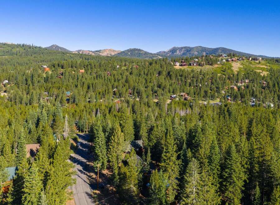 Nestled amidst a dense forest of towering pine trees, this property offers a serene mountain retreat.