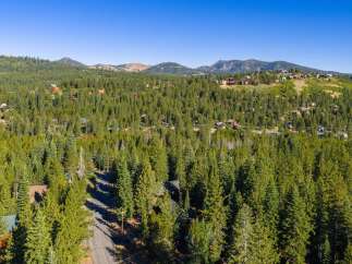 Nestled amidst a dense forest of towering pine trees, this property offers a serene mountain retreat.