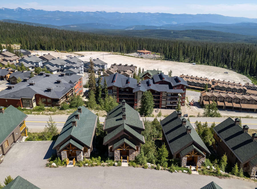 Discover this charming mountain village featuring a collection of rustic cabins and multi-story lodges nestled amidst a dense evergreen forest.