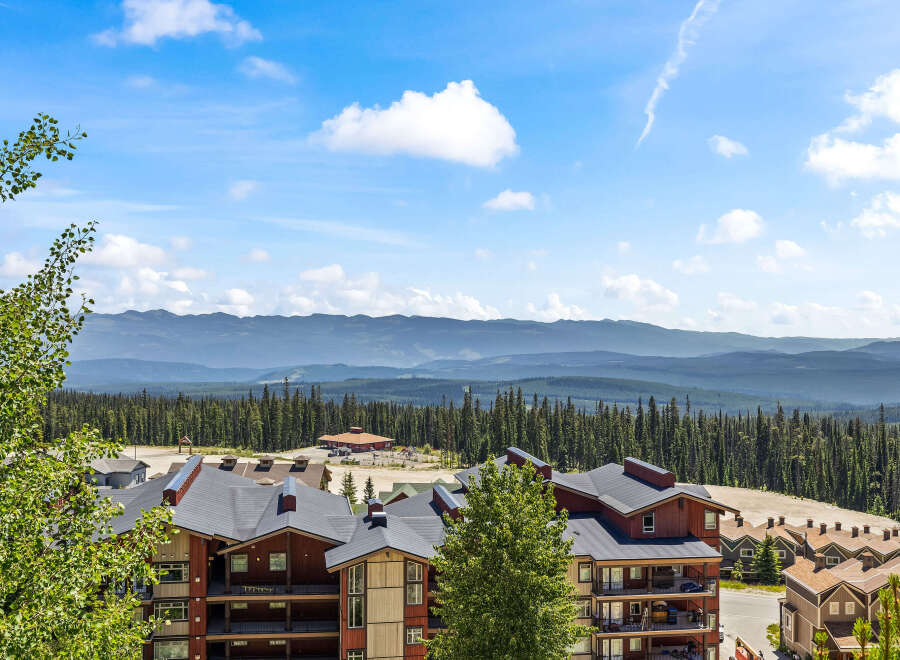 Experience breathtaking mountain views from this stunning property, nestled amidst a lush evergreen forest.