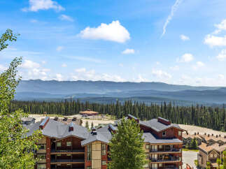 Experience breathtaking mountain views from this stunning property, nestled amidst a lush evergreen forest.