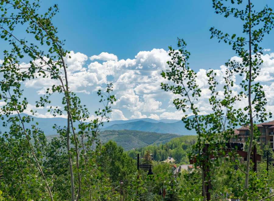 Nestled amidst lush greenery and framed by delicate tree branches, this property offers a serene mountain escape.