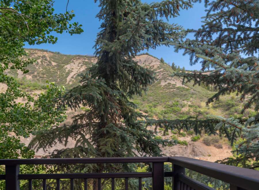 Enjoy breathtaking mountain views from this property's private balcony, framed by lush evergreen trees.