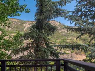 Enjoy breathtaking mountain views from this property's private balcony, framed by lush evergreen trees.