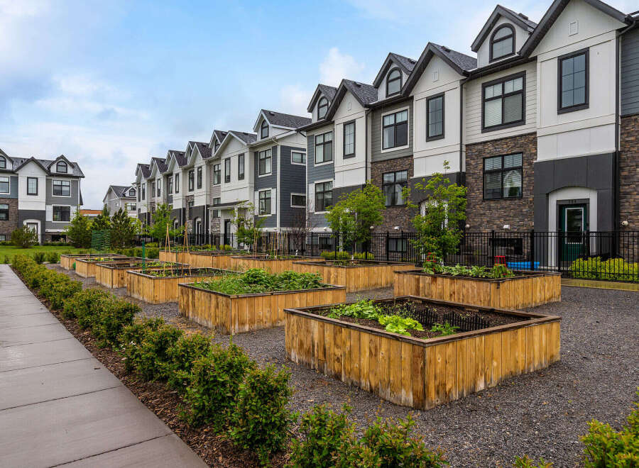 Discover modern townhome living with a community garden, perfect for urban farming enthusiasts.