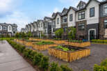 Discover modern townhome living with a community garden, perfect for urban farming enthusiasts.