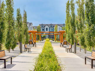 Discover modern living in this beautifully landscaped community, featuring elegant townhomes with striking architectural details.