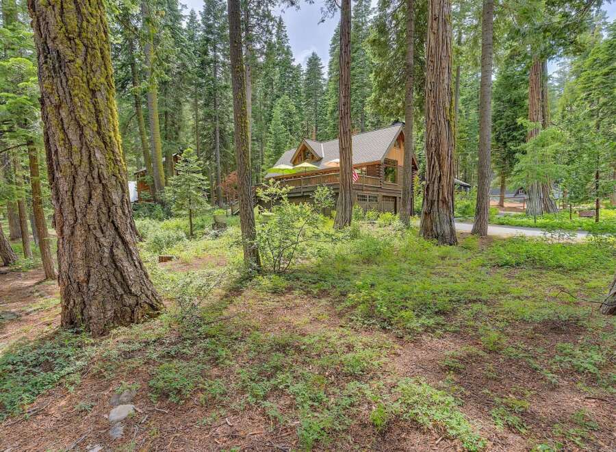Nestled amidst towering trees, this charming cabin offers a serene retreat with its expansive wooden deck and inviting outdoor seating area, perfect for enjoying the tranquil forest surroundings.