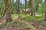 Nestled amidst towering trees, this charming cabin offers a serene retreat with its expansive wooden deck and inviting outdoor seating area, perfect for enjoying the tranquil forest surroundings.