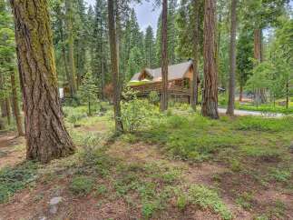 Nestled amidst towering trees, this charming cabin offers a serene retreat with its expansive wooden deck and inviting outdoor seating area, perfect for enjoying the tranquil forest surroundings.
