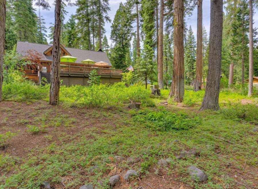 Nestled amidst towering trees, this charming log cabin offers a serene retreat.