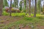 Nestled amidst towering trees, this charming log cabin offers a serene retreat.