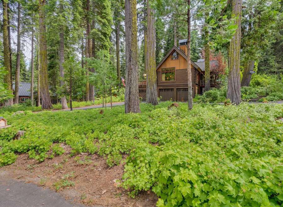 Nestled amidst towering trees, this charming log cabin offers a serene retreat.