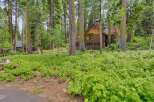 Nestled amidst towering trees, this charming log cabin offers a serene retreat.