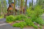 Nestled amidst towering trees, this charming log cabin offers a serene mountain retreat.