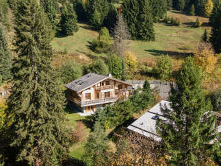Nestled amidst a lush forest and rolling hills, this charming wooden chalet offers a serene mountain retreat.