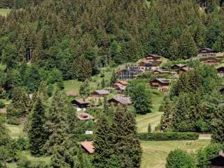 Nestled amidst a lush green forest, this stunning property offers a serene mountain retreat.