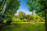 Discover a beautifully landscaped backyard perfect for outdoor living and entertaining.