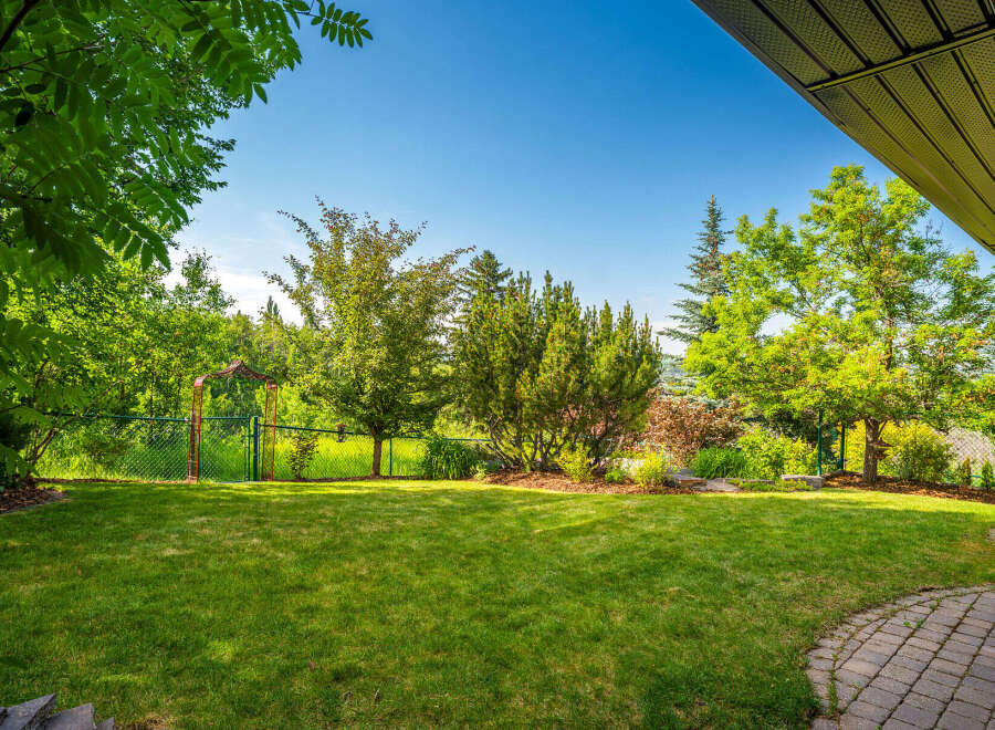 Enjoy the lush green lawn and mature trees in this beautiful backyard, perfect for outdoor entertaining and relaxation.