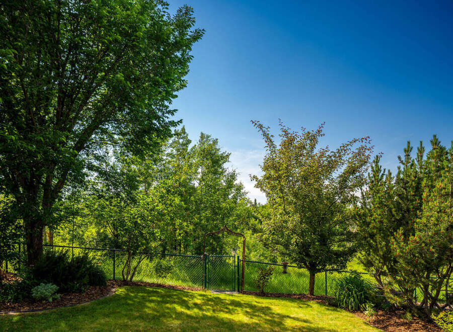 Discover a lush backyard oasis perfect for relaxation and entertaining, featuring mature trees and vibrant greenery.