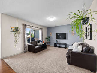Step into this inviting living room featuring comfortable dark leather sofas and a large, plush carpet.