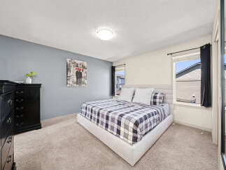 Discover comfort and style in this inviting bedroom, featuring a plush bed with a striking plaid comforter and matching pillows.