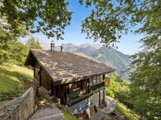 Nestled amidst lush greenery and breathtaking mountain vistas, this charming wooden chalet offers a serene escape.