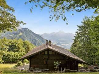 Nestled amidst lush greenery and offering breathtaking mountain vistas, this charming wooden chalet provides an idyllic retreat.